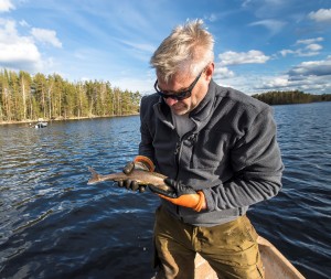 Hoitokalastusta-nieriä-käsissä